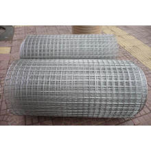 Stainless Steel Welded Wire Mesh